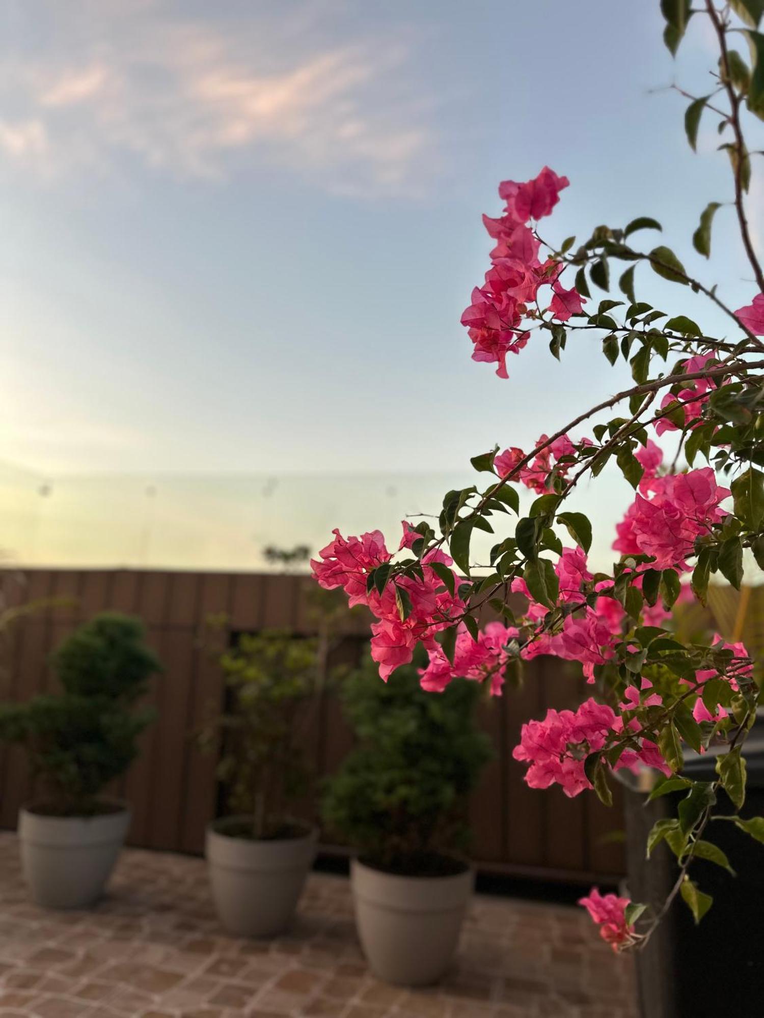 Sky Garden Hotel Ciudad Guatemala Eksteriør billede